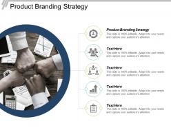 Product branding strategy ppt powerpoint presentation file inspiration cpb