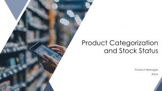 Product Categorization And Stock Status PPT Summary AT