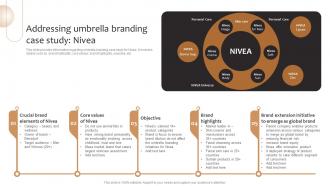 Product Corporate And Umbrella Branding Addressing Umbrella Branding Case Study Nivea