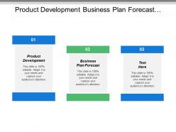 Product development business plan forecast strategic business plan