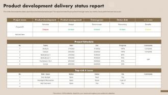 Product Development Delivery Status Report