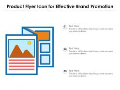 Product flyer icon for effective brand promotion