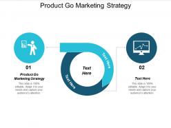 Product go marketing strategy ppt powerpoint presentation file outfit cpb