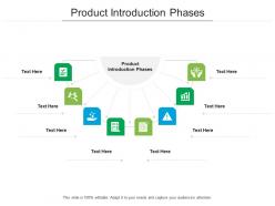 Product introduction phases ppt powerpoint presentation summary graphics example cpb