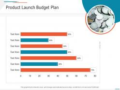 Product Launch Budget Plan Business Expenses Summary Ppt Summary