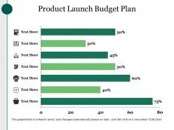 Product Launch Budget Plan Ppt Examples Slides