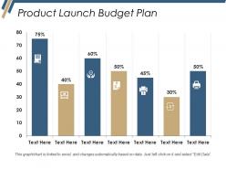 Product Launch Budget Plan Ppt Files