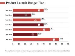 Product Launch Budget Plan Ppt Styles Icon