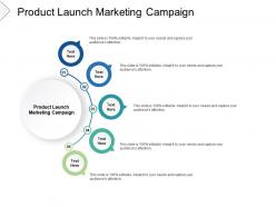 Product launch marketing campaign ppt powerpoint presentation infographics inspiration cpb
