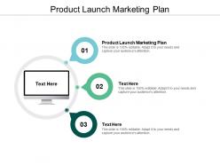 Product launch marketing plan ppt powerpoint presentation infographics portfolio cpb