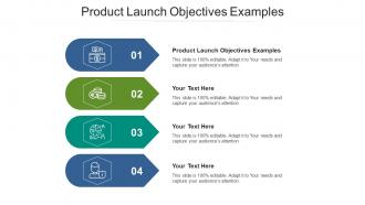 Product Launch Objectives Examples Ppt Powerpoint Presentation Ideas Deck Cpb