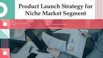 Product Launch Strategy For Niche Market Segment Powerpoint Presentation Slides
