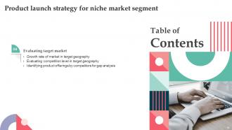 Product Launch Strategy For Niche Market Segment Powerpoint Presentation Slides Strategy CD V