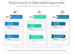 Product launch to utilize market opportunities