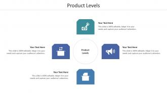 Product Levels Ppt Powerpoint Presentation File Icons Cpb