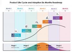 Product life cycle and adoption six months roadmap