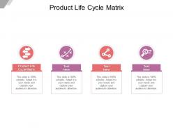 Product life cycle matrix ppt powerpoint presentation infographic example cpb