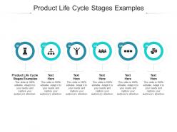 Product life cycle stages examples ppt powerpoint presentation model format cpb