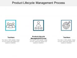 Product lifecycle management process ppt powerpoint presentation summary guidelines cpb