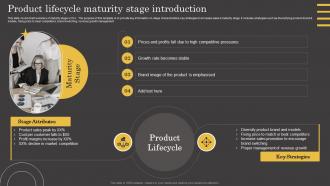 Product Lifecycle Maturity Stage Introduction Ppt Gallery Professional