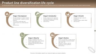 Product Line Diversification Life Cycle