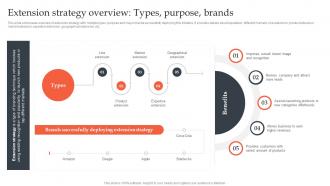 Product Line Extension Strategies Extension Strategy Overview Types Purpose Brands