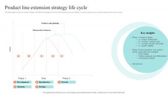Product Line Extension Strategy Life Cycle