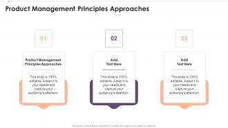 Product Management Principles Approaches In Powerpoint And Google Slides Cpb