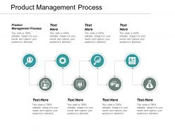 Product management process ppt powerpoint presentation file samples cpb