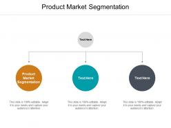 Product market segmentation ppt powerpoint presentation show visual aids cpb