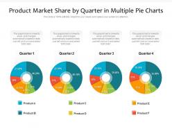 Product market share by quarter in multiple pie charts