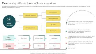 Product Marketing And Positioning Strategy Determining Different Forms Of Brand Extensions MKT SS V