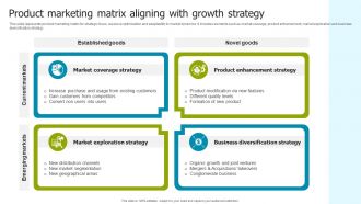 Product Marketing Matrix Aligning With Growth Strategy