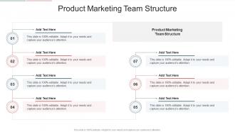 Product Marketing Team Structure In Powerpoint And Google Slides Cpb