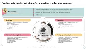Product Mix Marketing Strategy To Maximize Business Operational Efficiency Strategy SS V