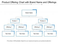 Product offering chart with brand name and offerings