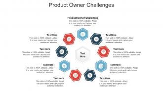 Product owner challenges ppt powerpoint presentation inspiration example cpb