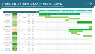 Product Portfolio Launch Strategy For Business Growth