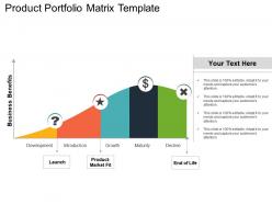 Product Portfolio Matrix Template Ppt Example File