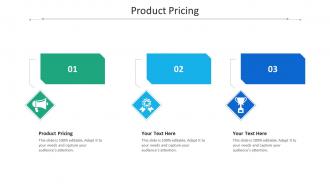 Product pricing ppt powerpoint presentation file deck cpb