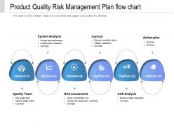 Product quality risk management plan flow chart