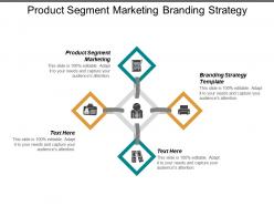 Product segment marketing branding strategy template performance management cpb