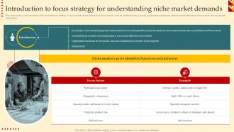 Product Strategy And Innovation Guide Introduction To Focus Strategy Understanding Strategy SS V