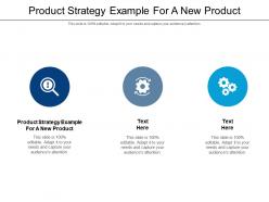 Product strategy example for a new product ppt powerpoint presentation file design ideas cpb