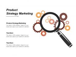 Product strategy marketing ppt powerpoint presentation file samples cpb