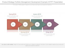 Product strategy portfolio management development example of ppt presentation