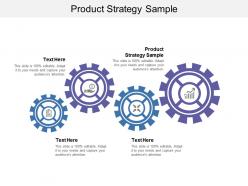 Product strategy sample ppt powerpoint presentation infographics show cpb