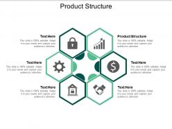 Product structure ppt powerpoint presentation slides portfolio cpb