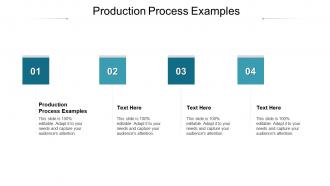 Production process examples ppt powerpoint presentation outline summary cpb