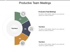 Productive team meetings ppt powerpoint presentation layouts elements cpb